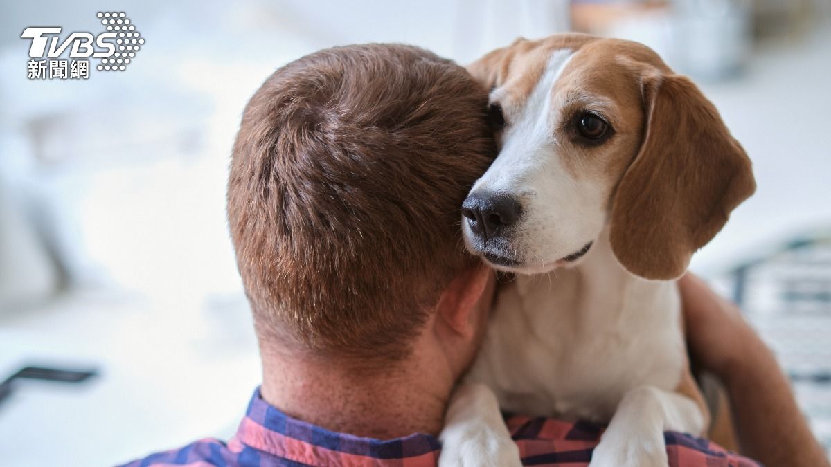 響應世界安寧日!治療犬與藝術療法引進病房 陪伴人生最後的旅程