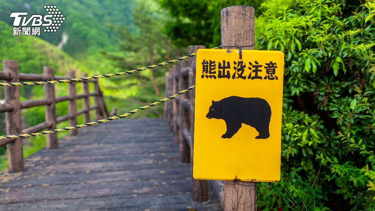 日本岩手縣一處溫泉旅館16日驚傳黑熊咬死員工並拖屍　（示意圖／Shutterstock達志影像）