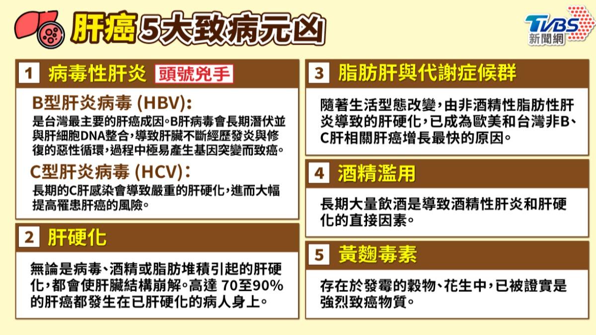 肝癌主要有5大致病元凶。（圖／曾梓倩製）