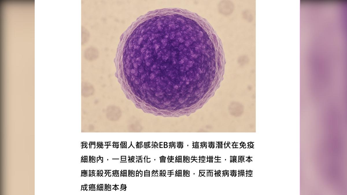 常見的EB病毒可能誘發致命的NK/T細胞淋巴癌。（圖／翻攝自基因醫師張家銘臉書）