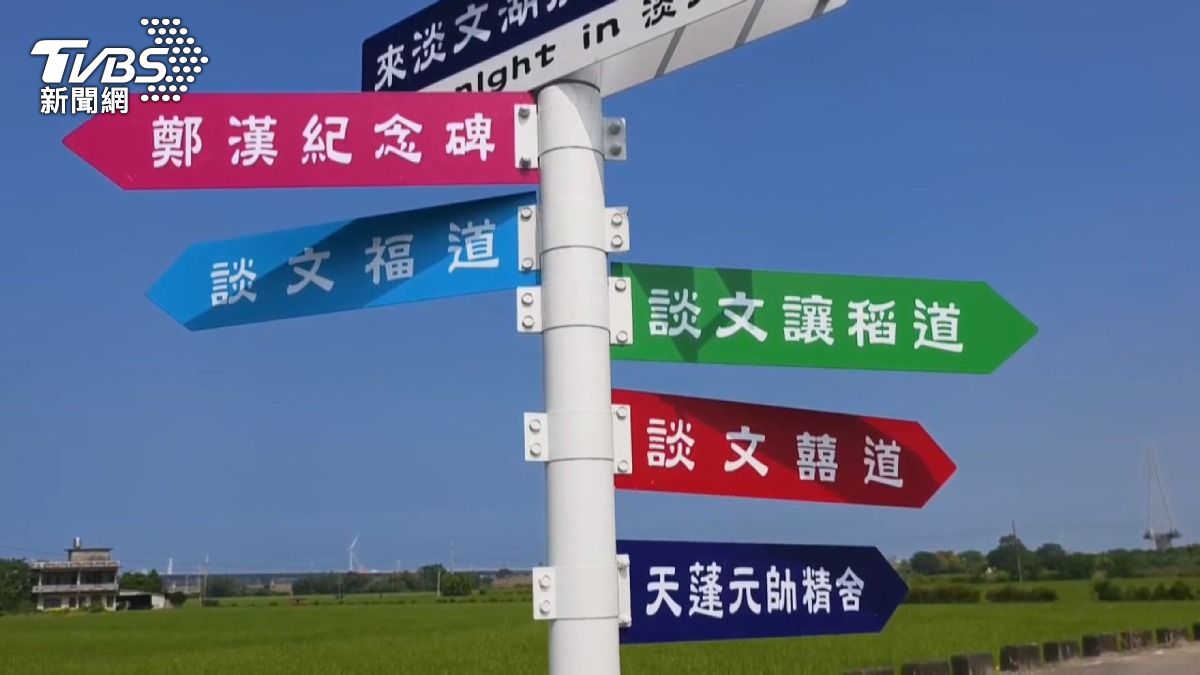 七甲向日葵花海驚艷全台!「歐風建築伴鐵道」成IG打卡聖地。(圖/TVBS)