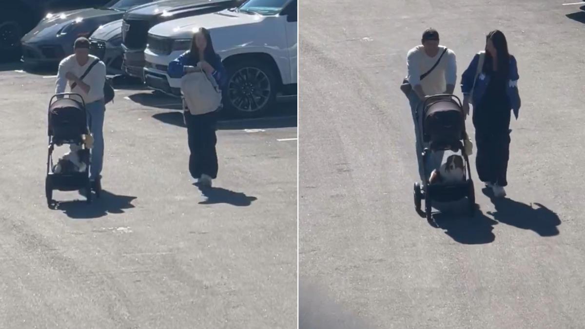 大谷翔平和愛女、愛犬現身球場!全家同框畫面瘋傳 外媒怒了