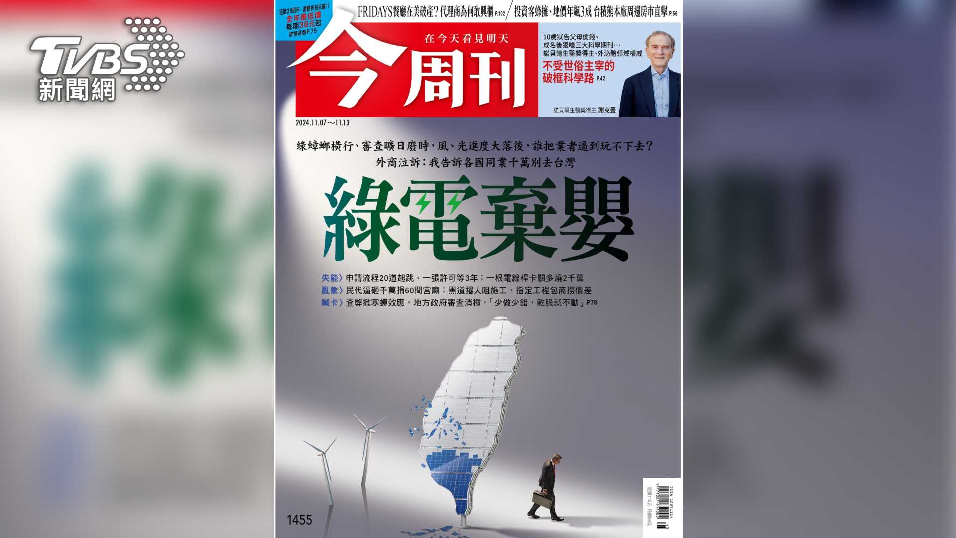 第9屆全球華文永續報導獎/綠電棄嬰