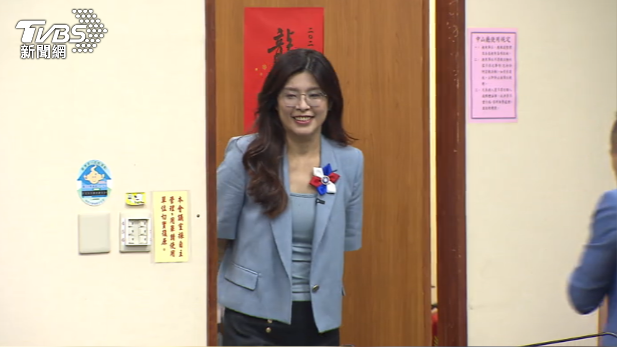 國民黨新任黨主席鄭麗文(圖/TVBS)