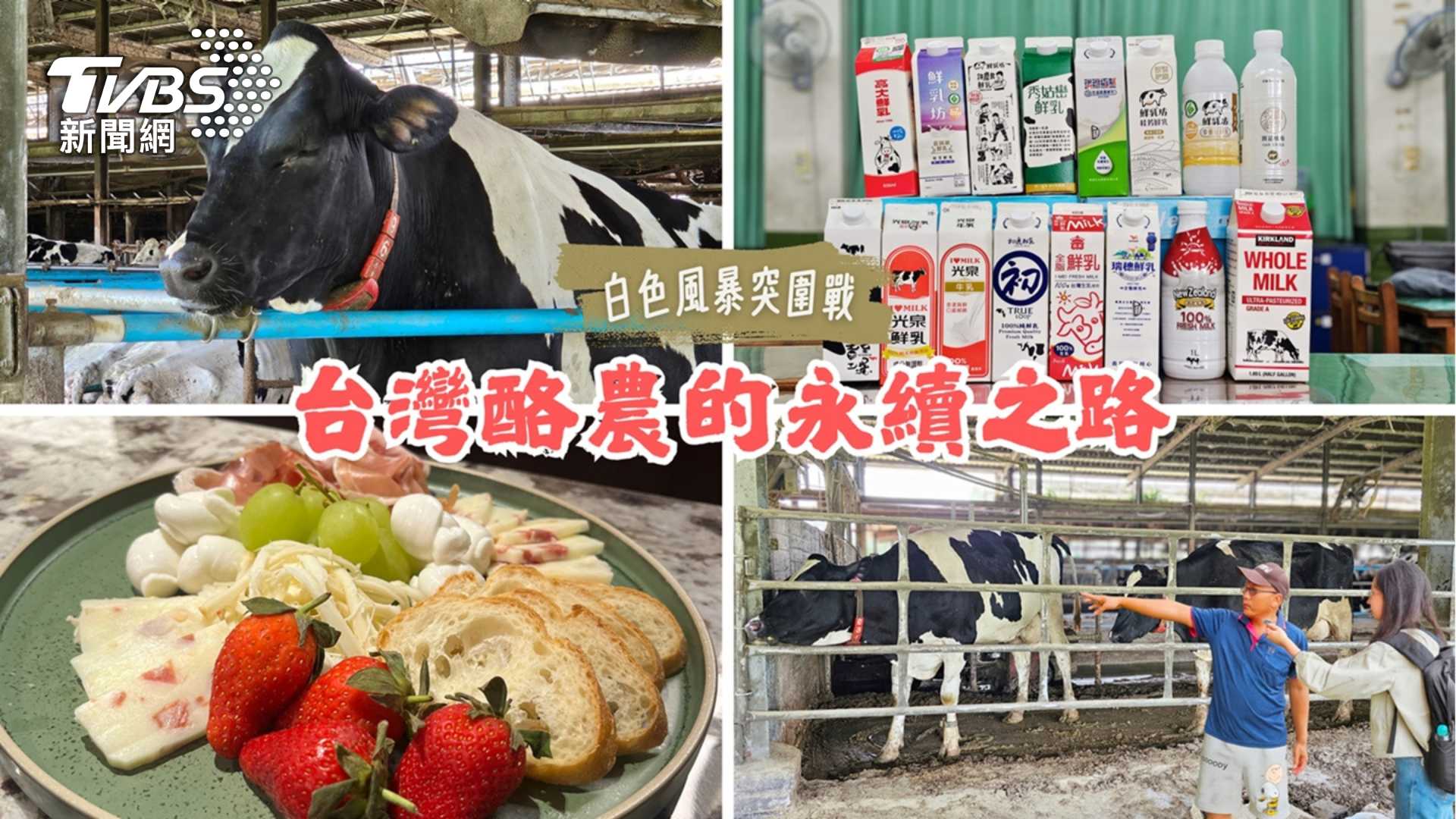 第9屆全球華文永續報導獎/白色風暴突圍戰-臺灣酪農的永續之路