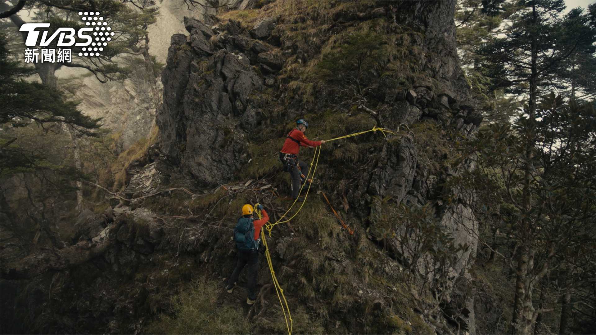 第9屆全球華文永續報導獎／另一種注目–救人也救樹