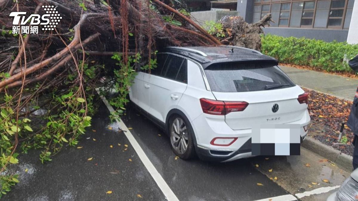 有片/台北雨狂下!大同區路樹倒塌砸車 昌吉街雙向封閉