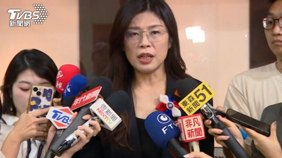 準國民黨主席鄭麗文。（圖／TVBS）