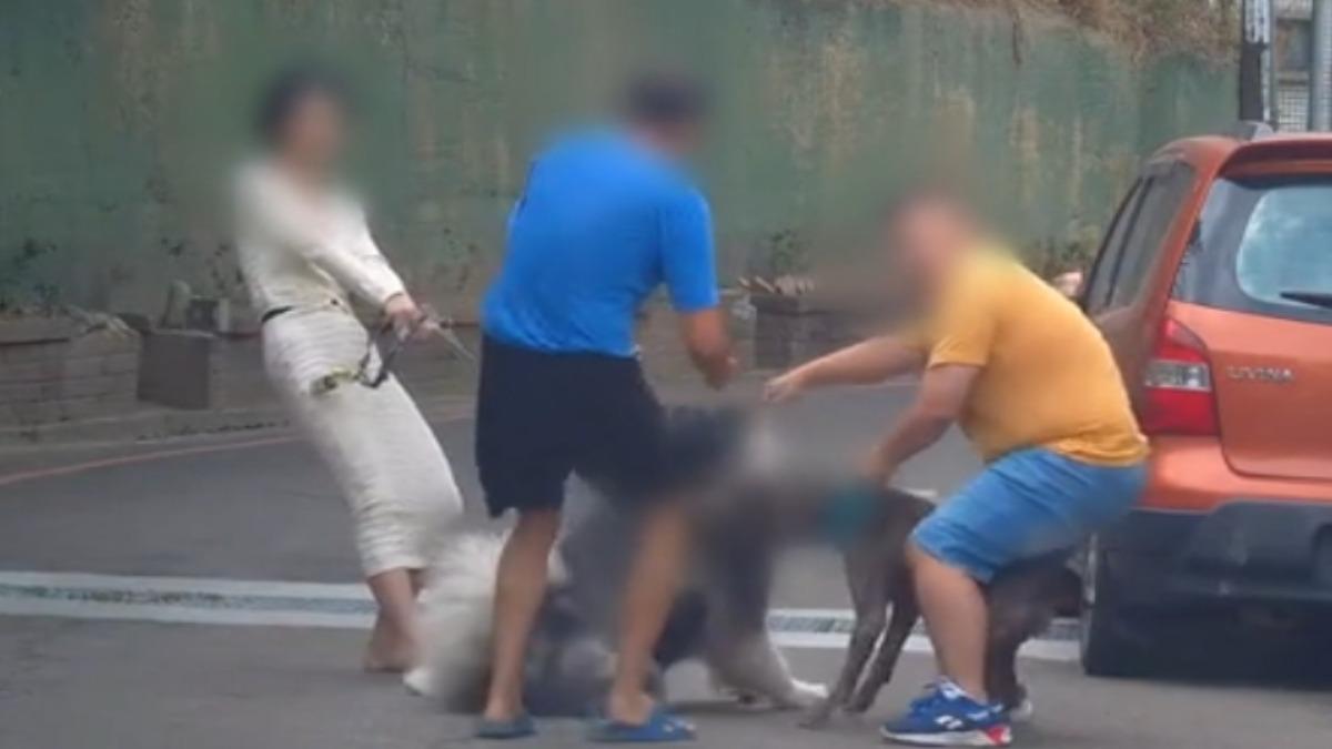 帶毛孩散步，比特犬未繫繩突咬狗。(圖／Threads davidyuyuyu)