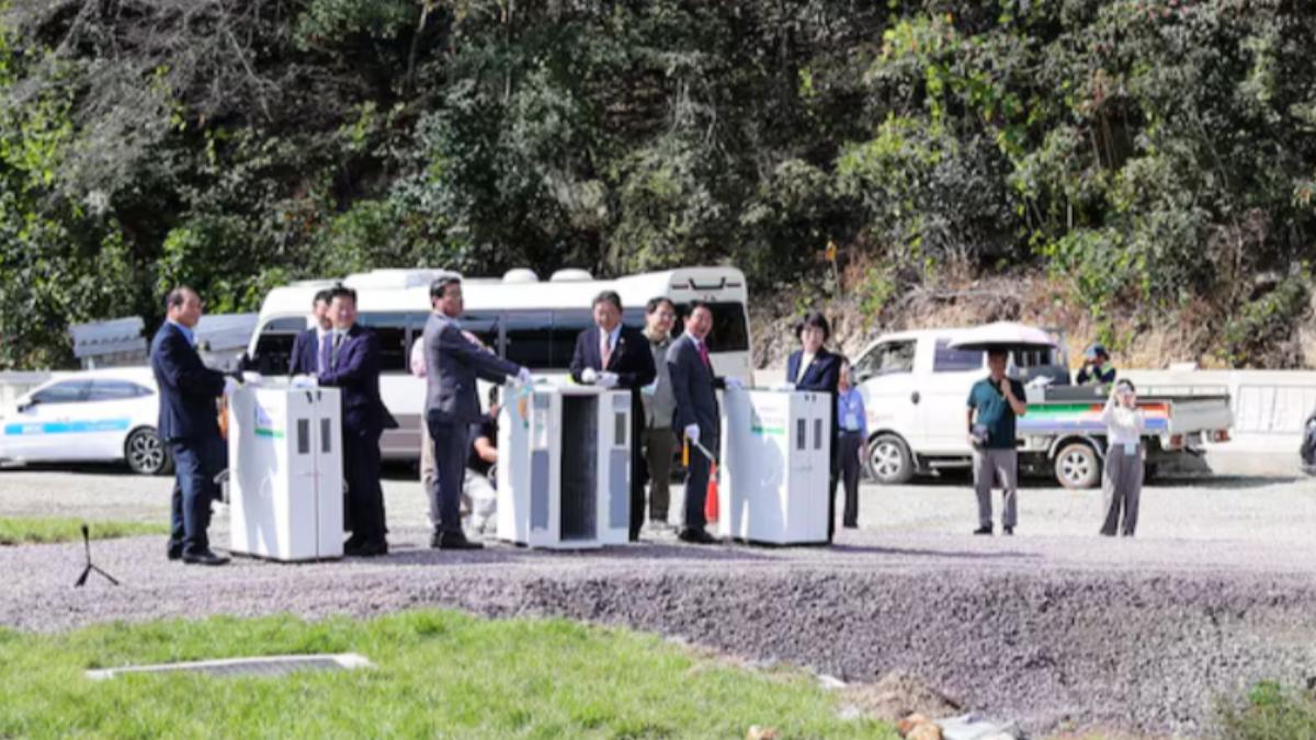 南韓野放瀕危「東方白鸛」出包!疑關籠太久死亡 環團轟殘忍