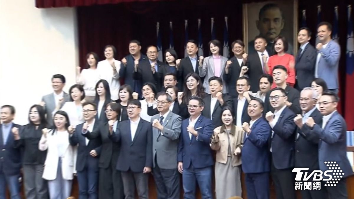 國民黨團（圖／TVBS資料畫面）