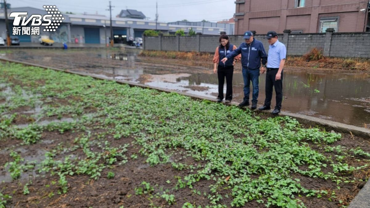 桃園市蘆竹、大園與觀音地區農作物發生淹水災情。（圖／TVBS）