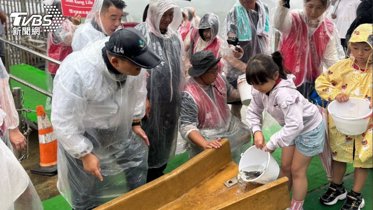 石門水庫8.5萬尾魚苗放流 顧生態兼創千萬經濟價值