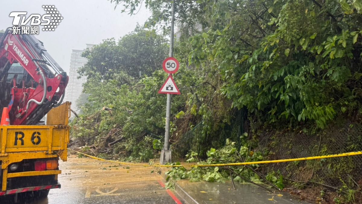 雙北狂風暴雨不停!三峽山坡土石滑落 士林樹倒占車道