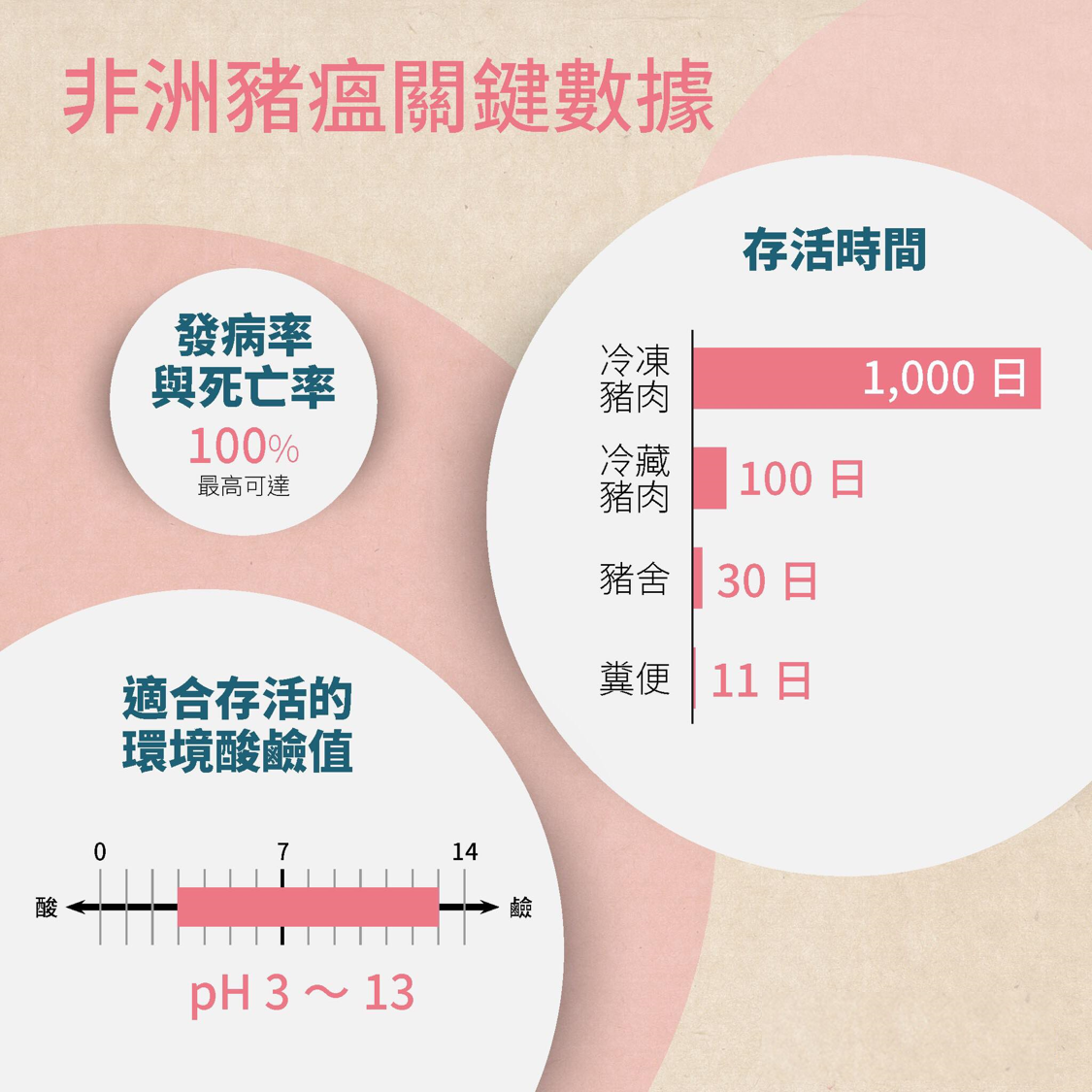 非洲豬瘟-非洲豬瘟疫區-非洲豬瘟現況-非洲豬瘟吃了會怎樣-非洲豬瘟台灣-非洲豬瘟懶人包-非洲豬瘟病毒