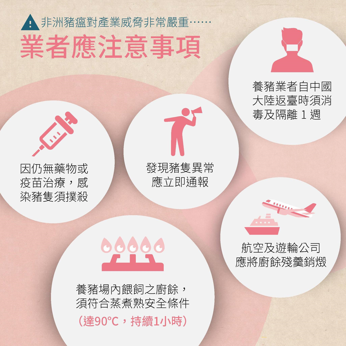 非洲豬瘟-非洲豬瘟疫區-非洲豬瘟現況-非洲豬瘟吃了會怎樣-非洲豬瘟台灣-非洲豬瘟懶人包-非洲豬瘟病毒