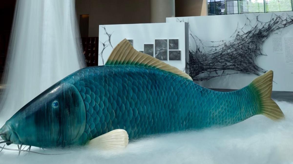 啟皓藝術館曾在一期展覽中,展出一條更巨大的藍色魚身,尺寸大約堪比兩位成人的長度,模樣與真魚一般,十分逼真。(圖/翻攝自小紅書)