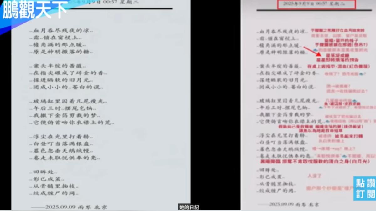 汪俞岑恐怖日記內容曝。(圖/翻攝自鵬觀天下YT頻道)