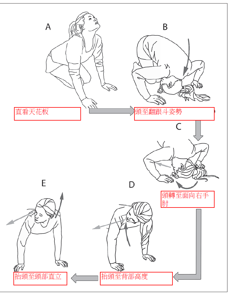 居家耳石復位法。(圖／北市聯醫耳鼻喉科醫師楊宗翰）