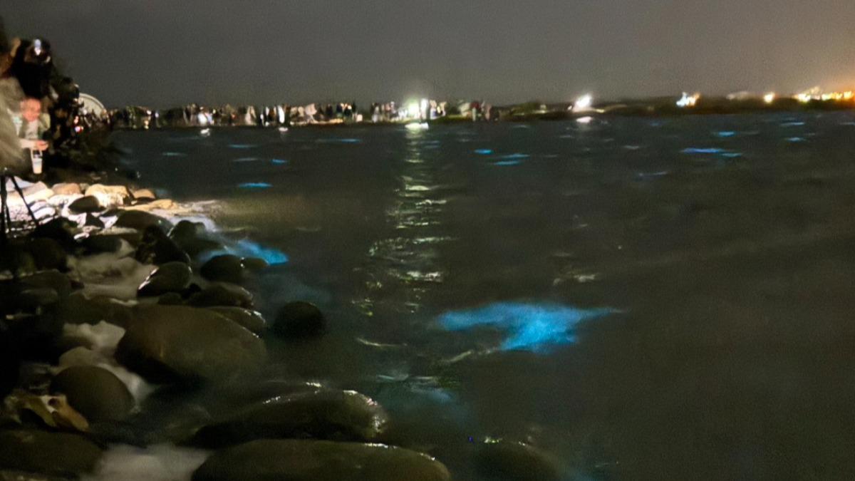 知名景點「生命之樹」周邊的水域呈現迷人的藍色光波,形成難得一見的自然現象。(圖/翻攝Threads_hsingfang20)