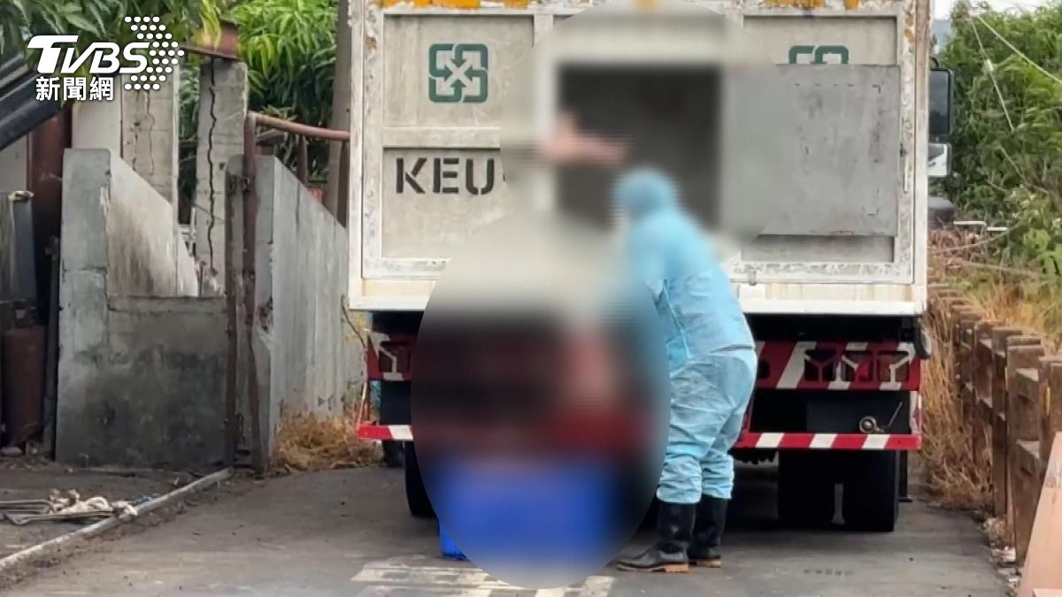 台中養豬場爆疫情後仍出貨!非洲豬瘟肉品流入3縣市 恐存活千日。(圖/TVBS)