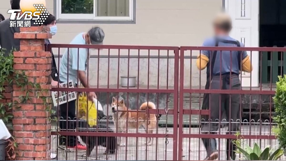 犬舍290隻狗「9成被割聲帶」 老闆是獸醫遭重罰480萬廢照 鍾東錦:罰金金額恰當。(圖/TVBS)