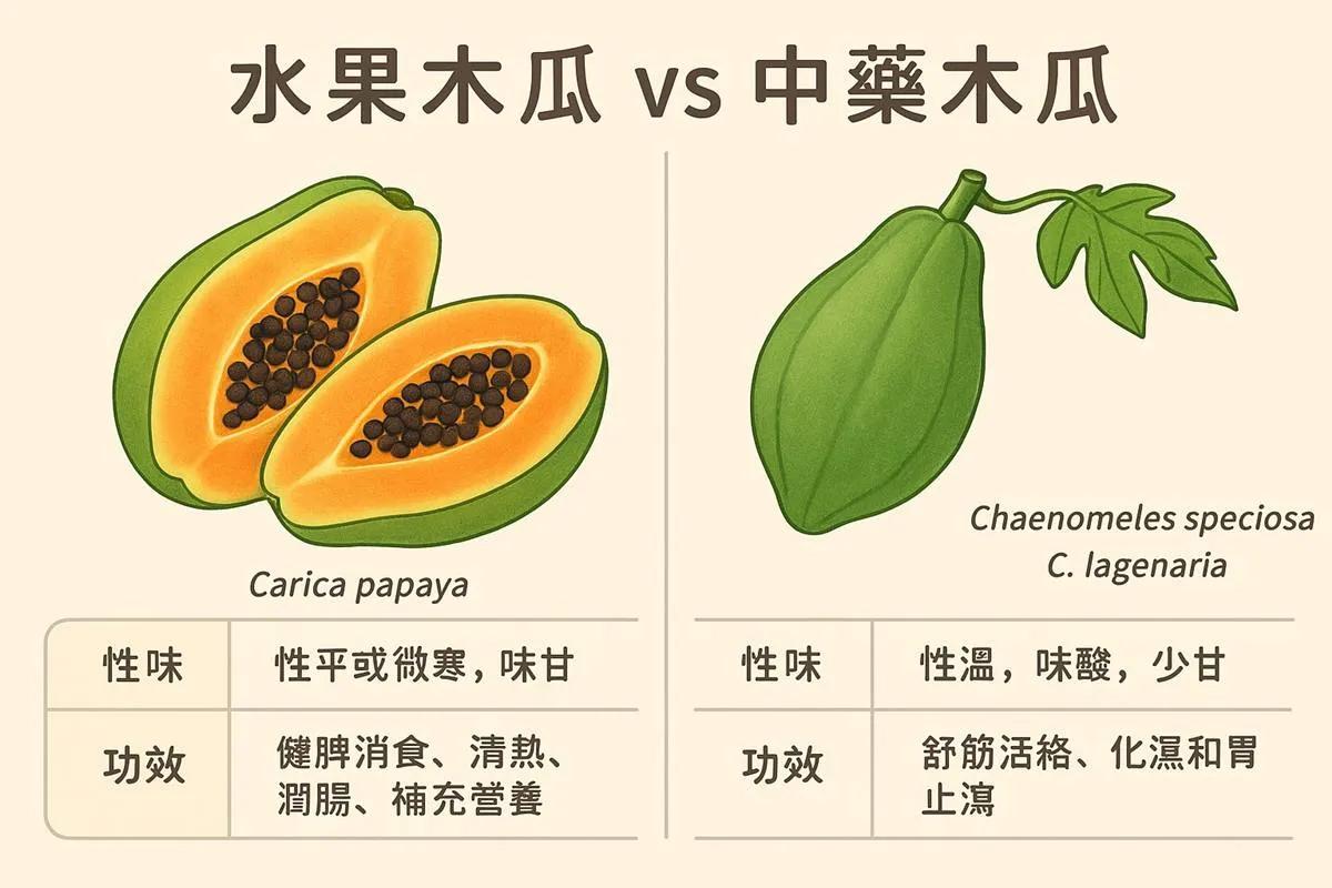 水果木瓜、中藥木瓜功效不一樣。（圖／翻攝自羅珮琳中醫師臉書）