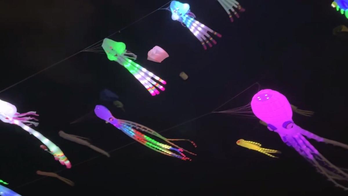 驚艷！夜空中數十隻「夜光章魚風箏」飄揚，親子放風箏趣。(圖／亞洲國際風箏聯合會提供)