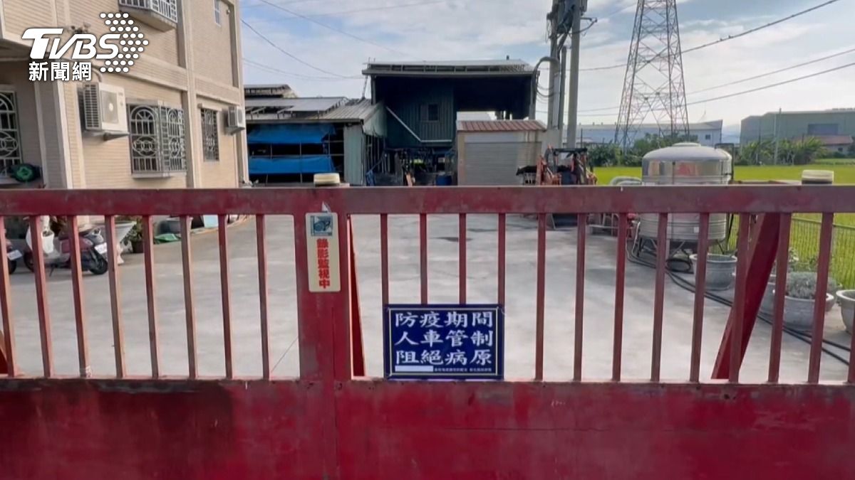 彰化5豬場列入梧棲豬瘟管控,芬園死豬門口堆放驚傳疫情。(圖/TVBS)