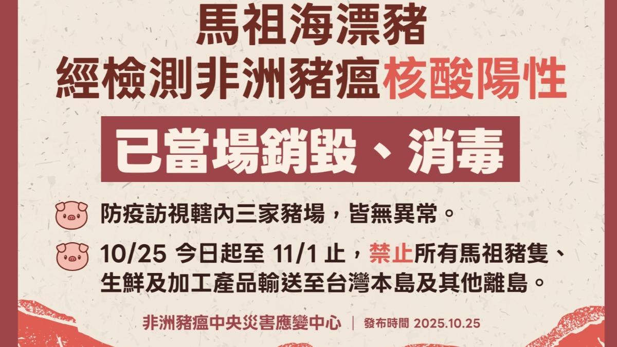 馬祖海漂豬感染到非洲豬瘟。（圖／農業部提供）