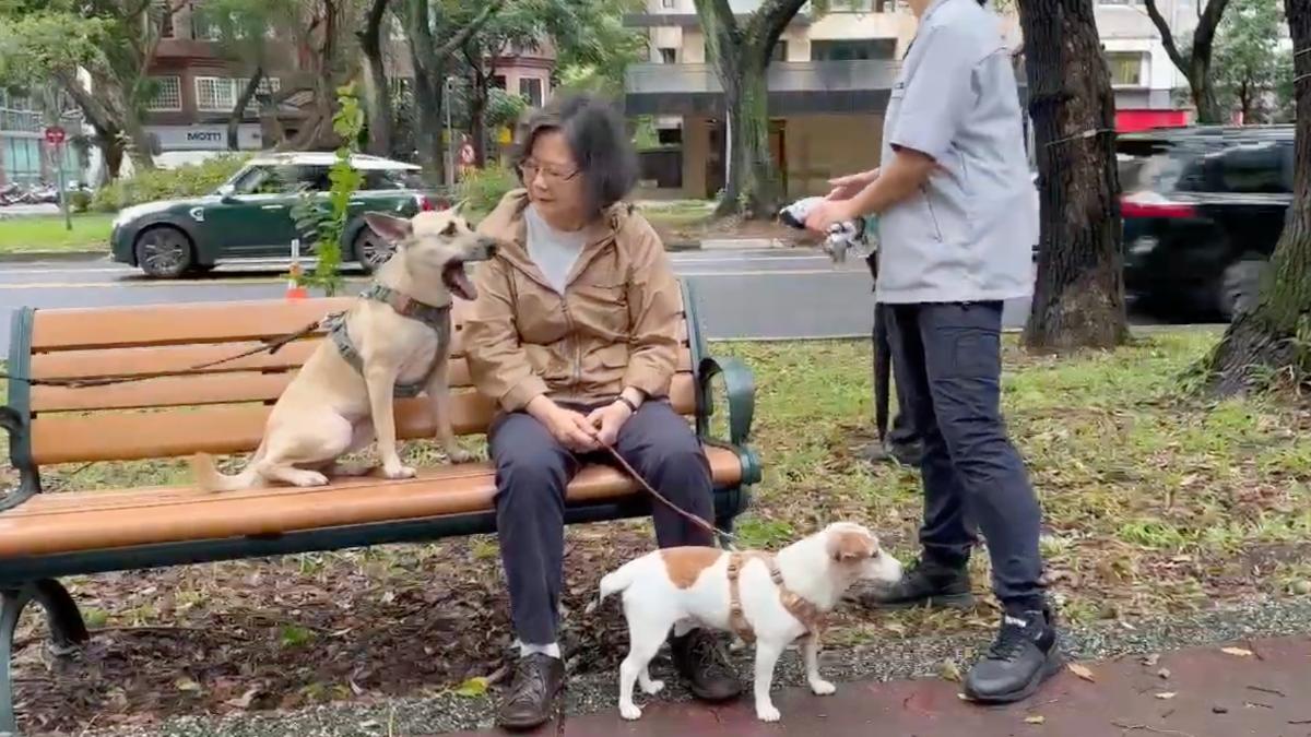蔡英文帶著愛犬到敦化南路的分隔島林道上。（圖／蔡英文辦公室提供）