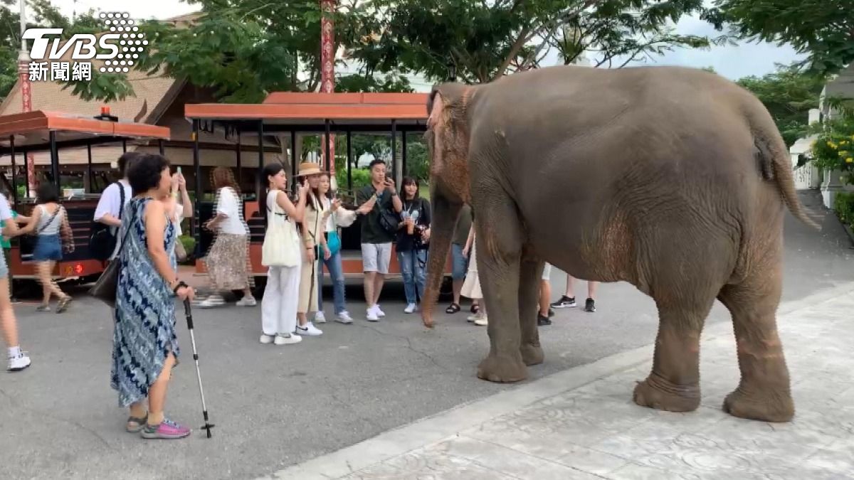 泰國國喪降半旗哀悼，台客赴泰「勿穿鮮豔衣」。(圖／TVBS)