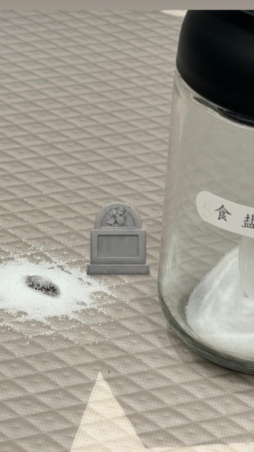 大牙在限時動態幫水蛭蓋了一個墳墓。(圖/翻攝自IG@bigtooth)