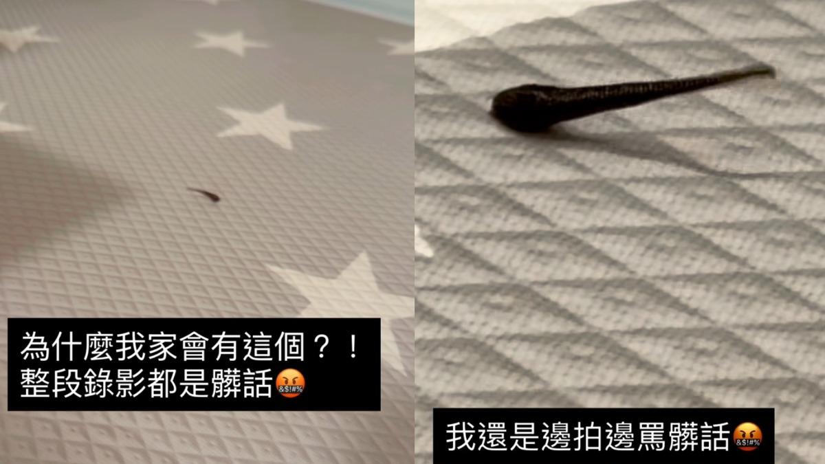 大牙看到水蛭粗口狂噴。(圖/翻攝自IG@bigtooth)