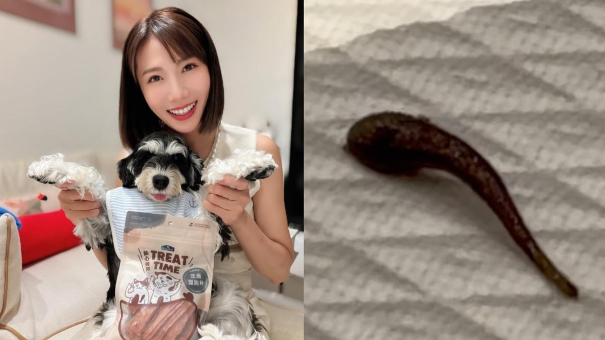大牙打掃驚見「蠕動黑影」嚇傻!可怕畫面曝光 崩潰爆喊連串粗口