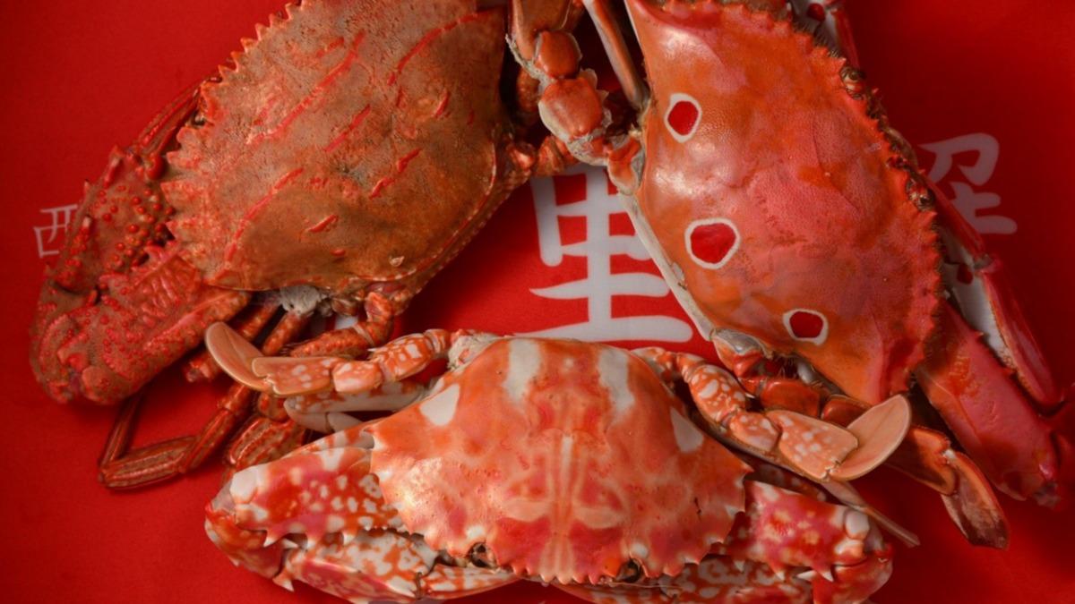 三點蟹又稱紅星梭子蟹,是秋季海鮮桌討喜的高CP值美味。(圖/「新北市政府漁業及漁港事業管理處」官網)