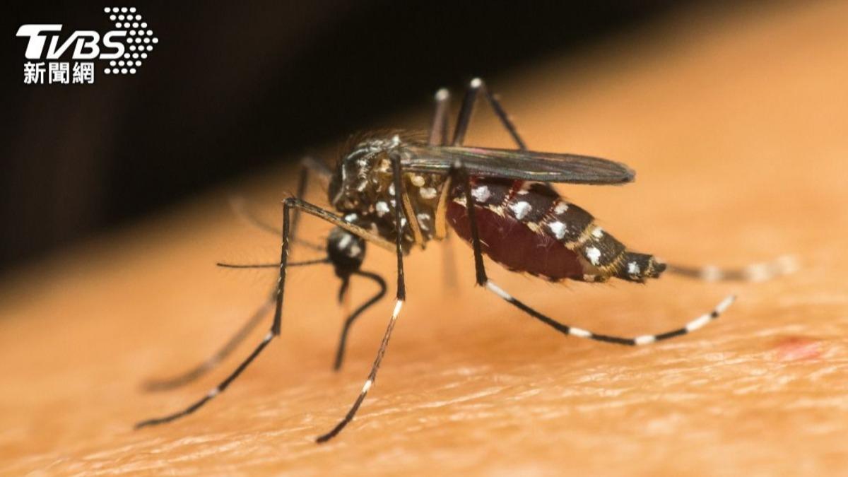 香港爆「首例境內感染」!鳳德區確診基孔肯雅熱 8000戶受威脅