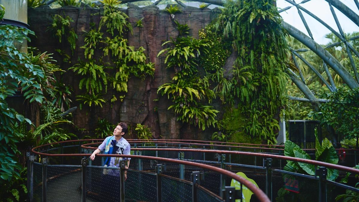 龔鈺祺快閃台北動物園,創下地標穿山甲館首組音樂演出紀錄。(圖/亮晶妃音樂有限公司提供)