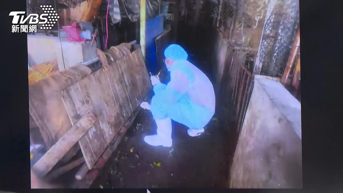 養豬場再次採檢照。(圖／TVBS)