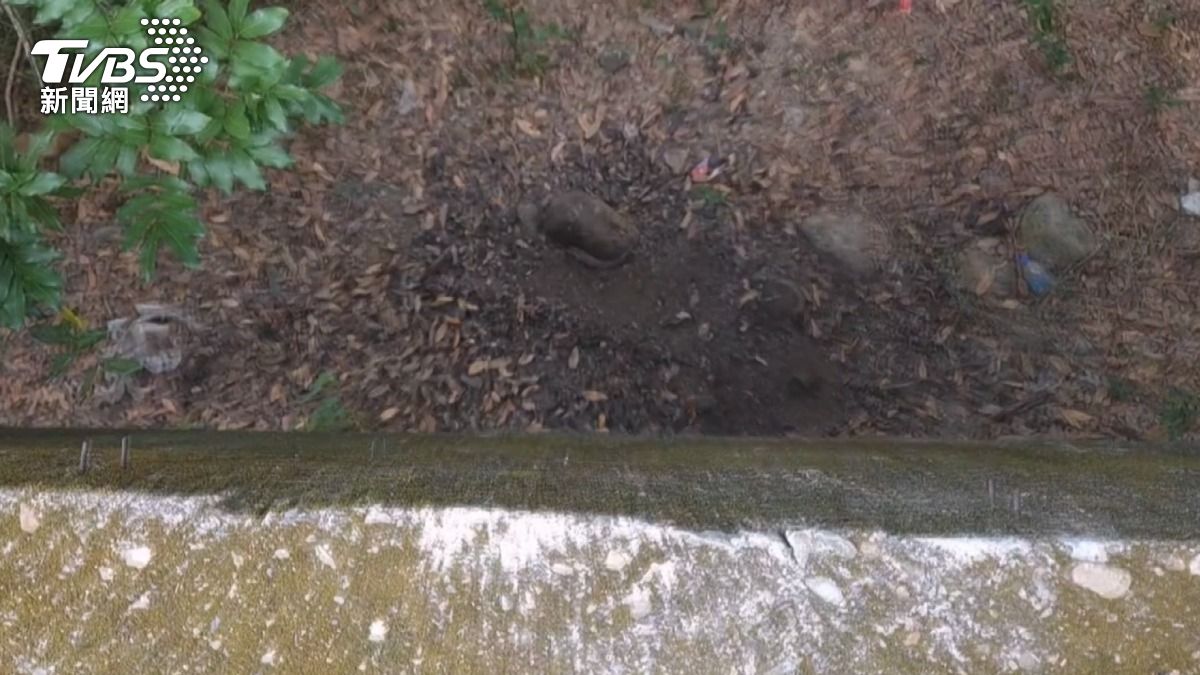 偏僻山路驚見白骨 男欠債萬元遭綑殺。(圖/TVBS)