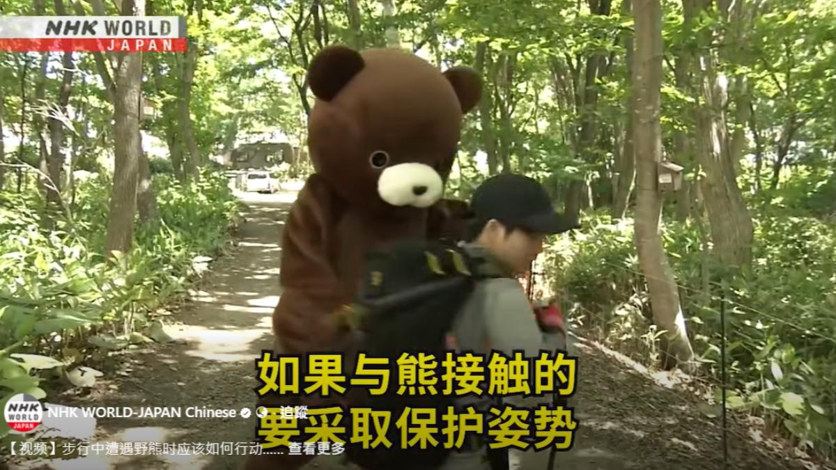 日野熊襲人頻傳!NHK推遇熊自保片 網歪樓:熊大兼差太可愛