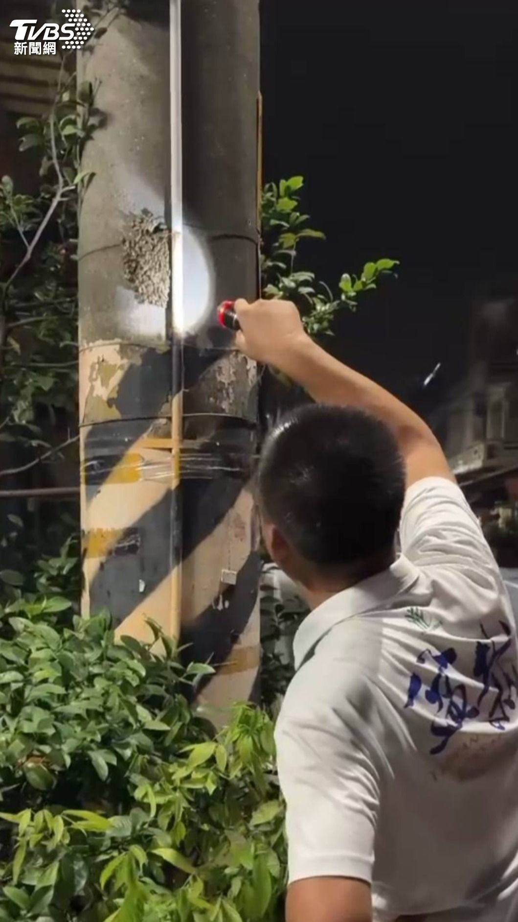 民眾發現大批蜜蜂聚集在電線桿上，急向縣議員許展維求助。（圖／TVBS）