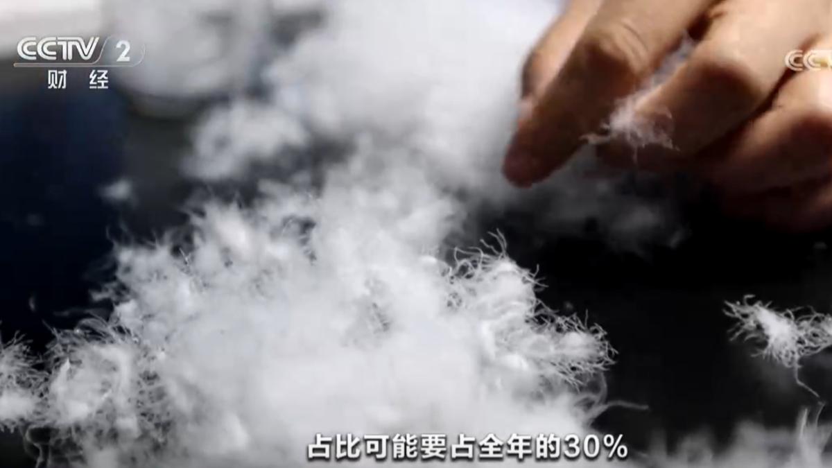 90號白鴨絨大陸現貨價格,約為每公噸54萬人民幣。(圖/CCTV-2)