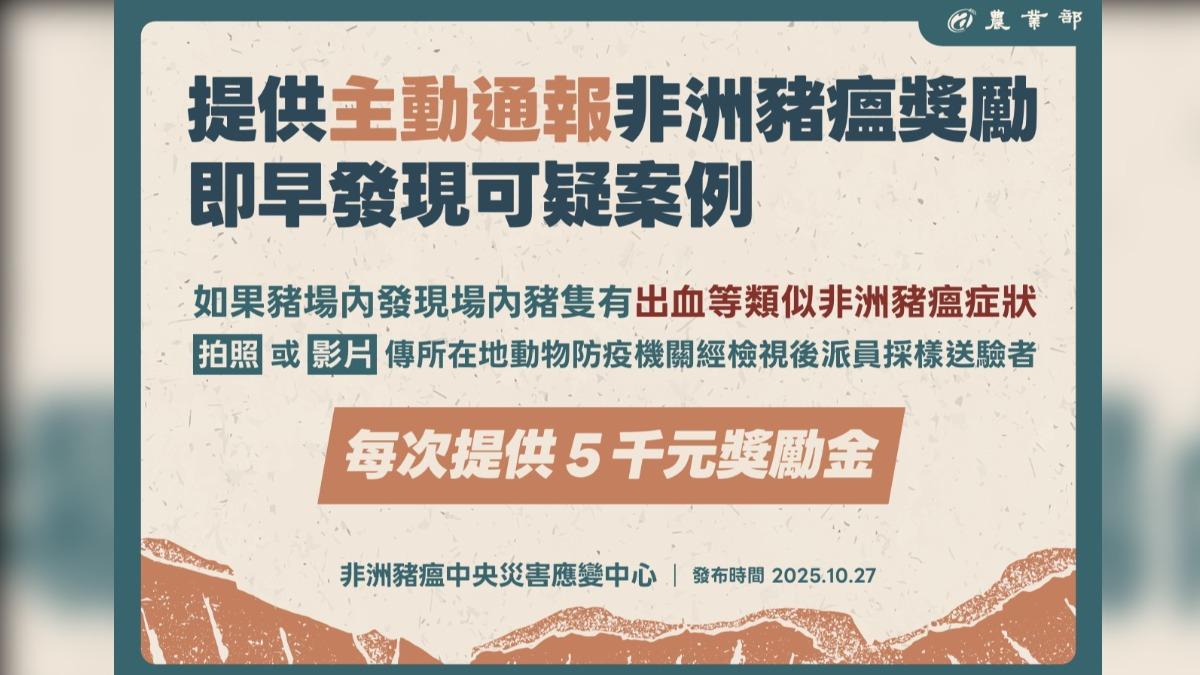 主動通報疑似非洲豬瘟個案,可領取獎勵金。(圖/農業部提供)