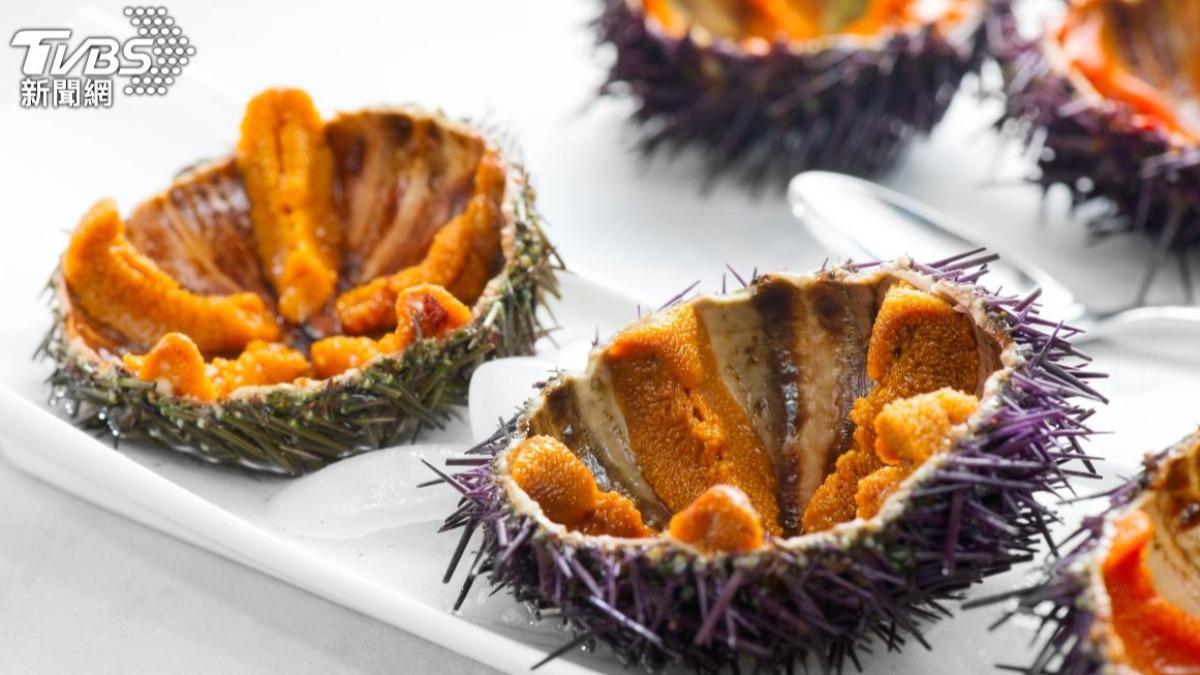 日本海膽竟吃烏龍麵?廢麵變肥美佳餚 創意養殖護海兼增鮮