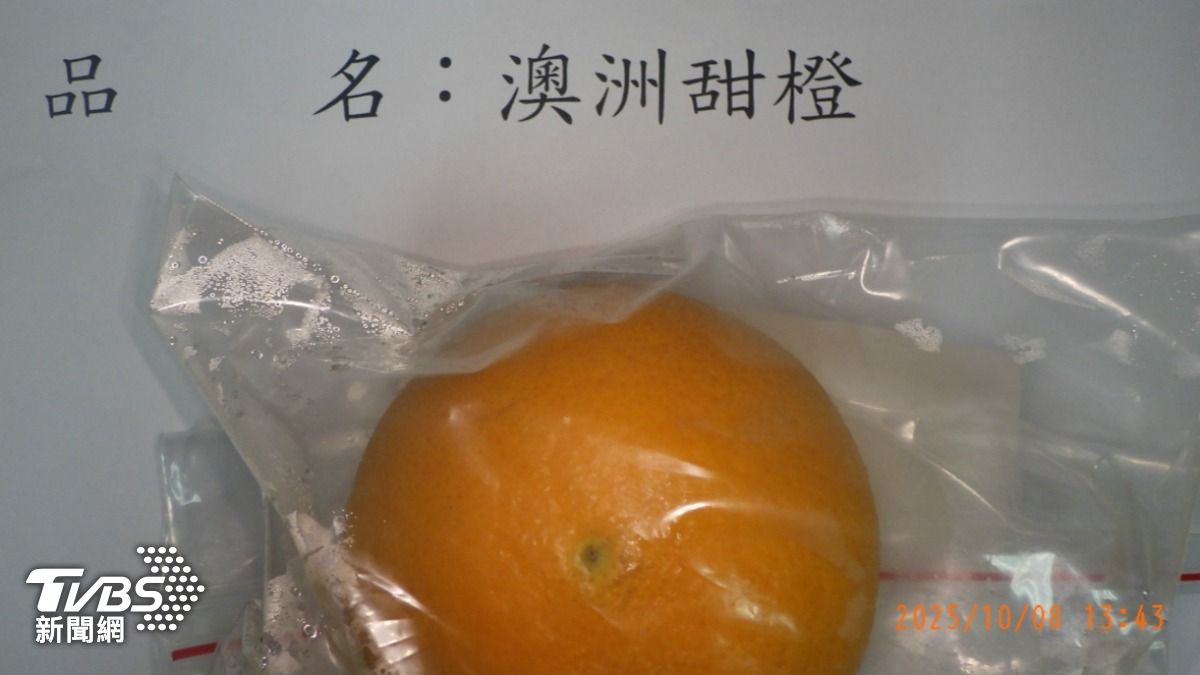 好市多進口的澳洲甜橙被驗出農藥超標。(圖/TVBS)