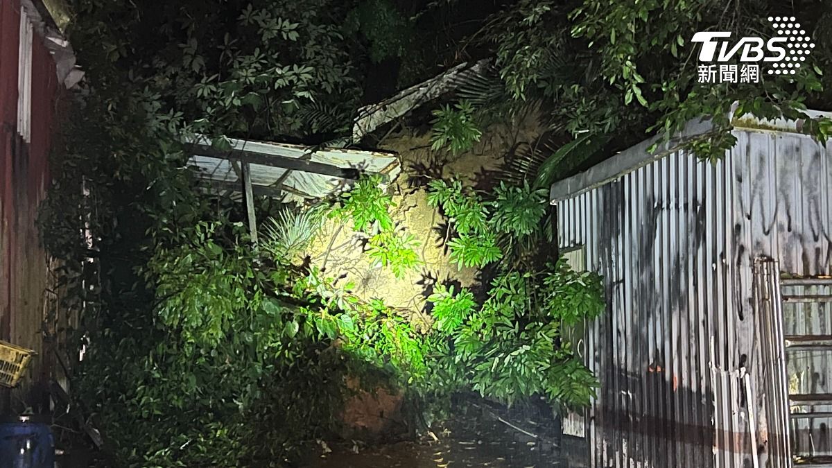 南港舊莊街邊坡坍方 百年老樹連同土石滑落