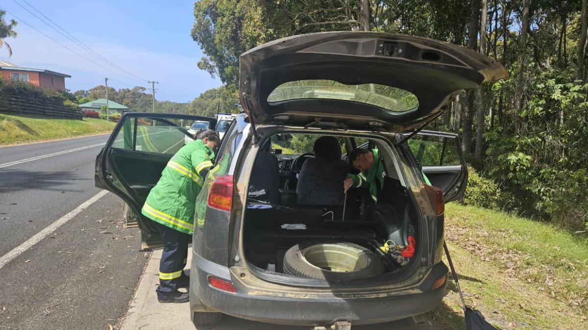 救難人員在捕蛇。（圖／翻攝FB@Narooma Rescue Squad - VRA Rescue NSW ）