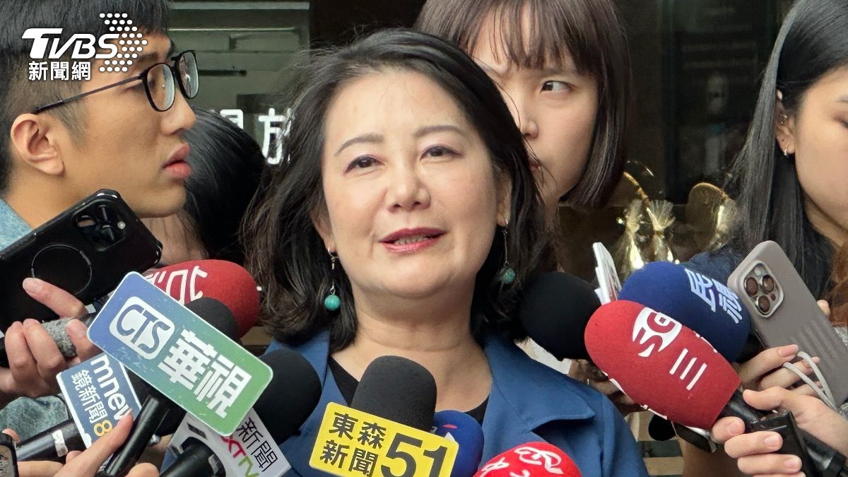 民進黨立委吳思瑤說,沈伯洋應無參選意願。(圖/潘袁詩羽攝)