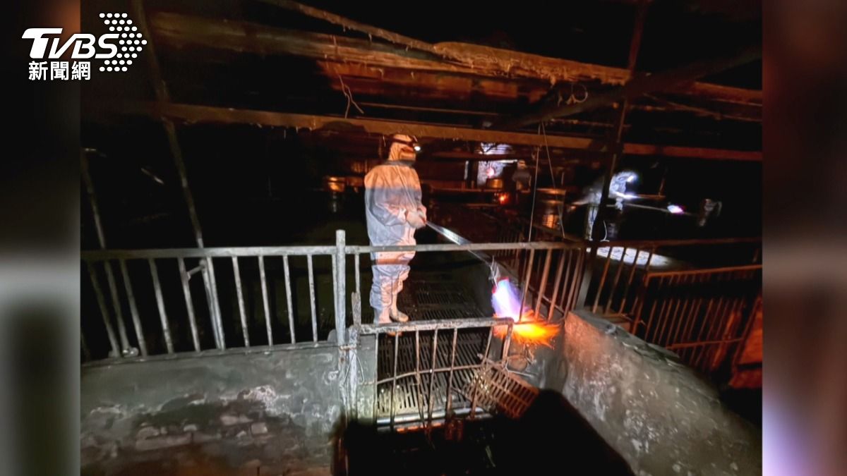 台中市府採納中央意見,出動火焰槍火烤鐵柵欄,以高溫方式避免病毒擴散。(圖/TVBS)